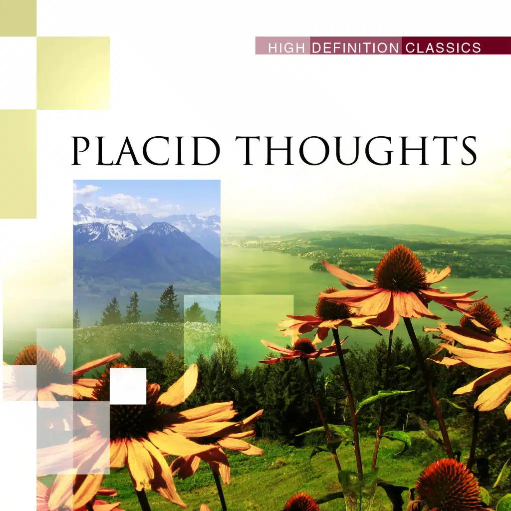 Placid Thoughts