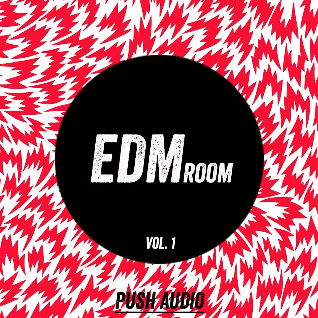 EDM Room, Vol. 1