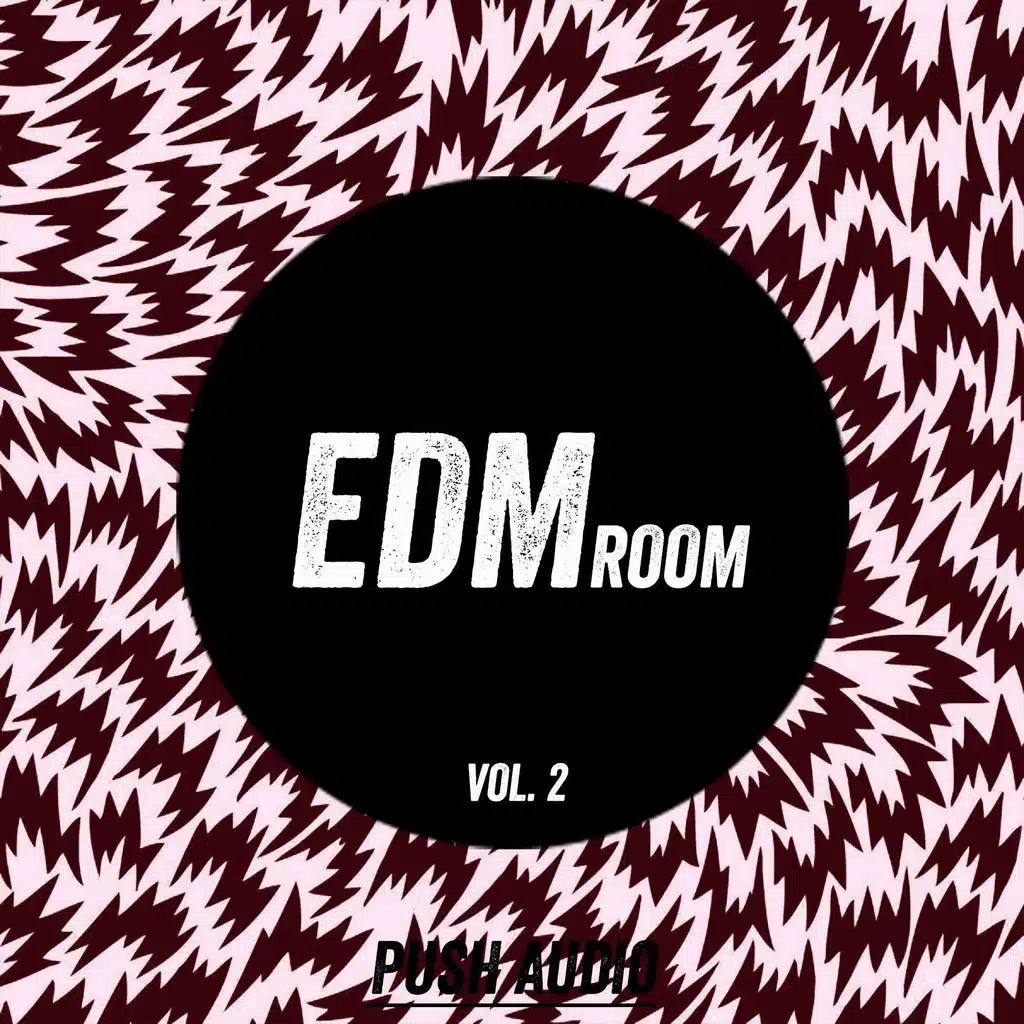 EDM Room, Vol. 2