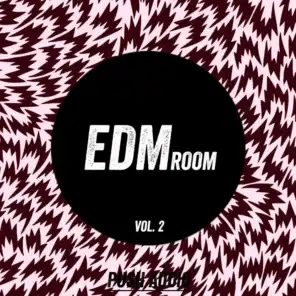 EDM Room, Vol. 2