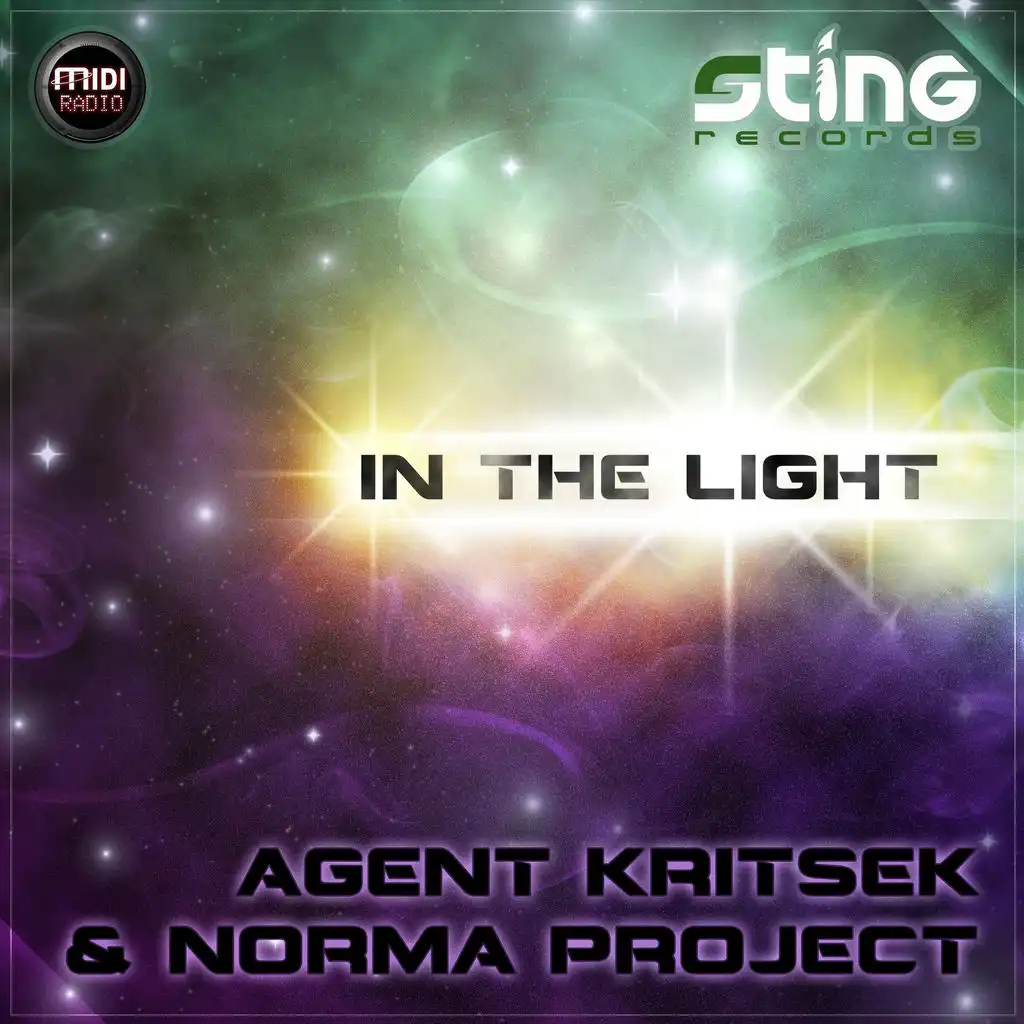 In The Light (Norma Project Remix)