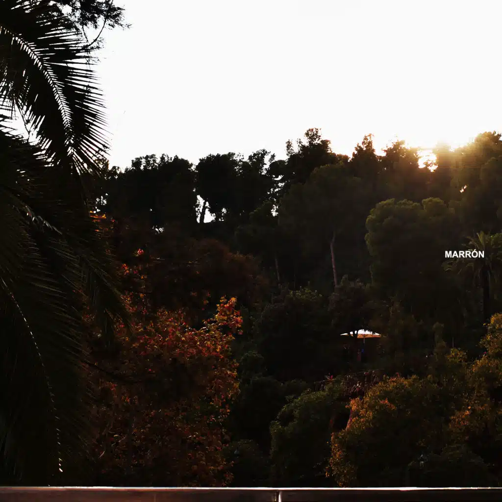 Marrón (feat. Melissa Ciani)