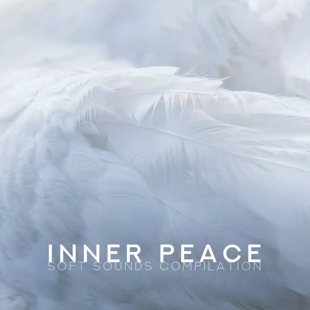 Inner Peace Soft Sounds Compilation: New Age Zen Relaxation 2019 Music Selection, Body & Mind Total Calming Down, Positive Thinking Songs