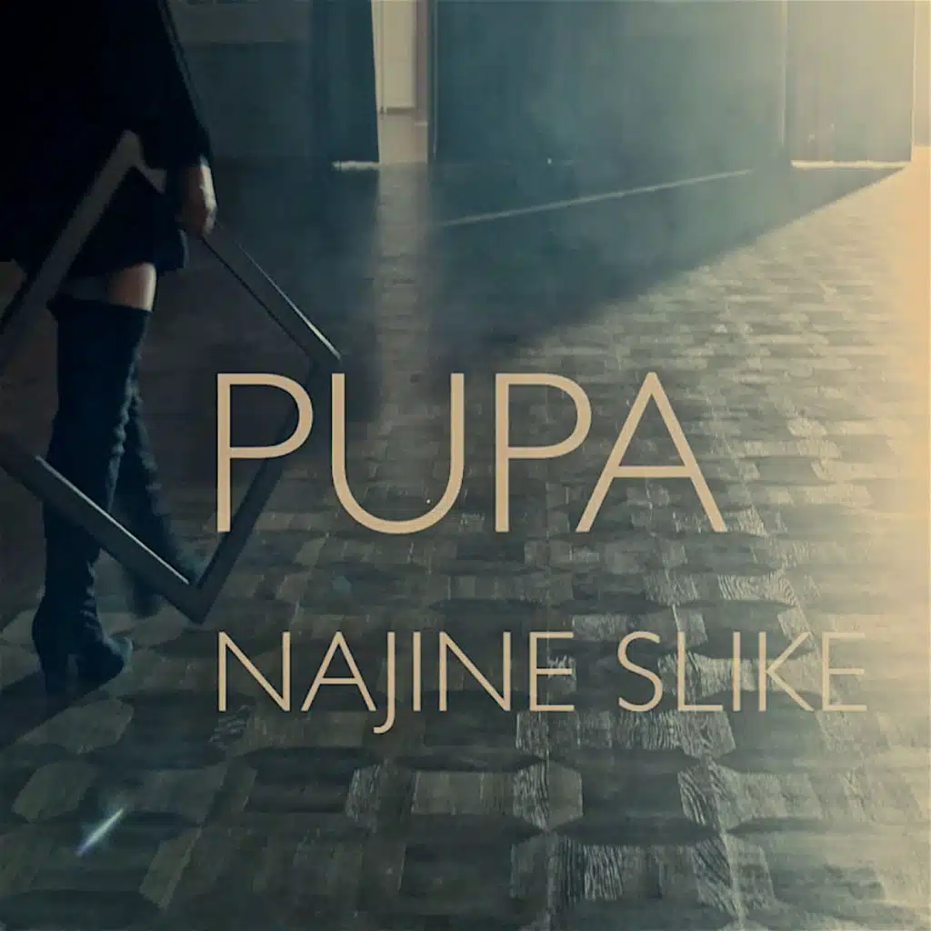 Najine Slike
