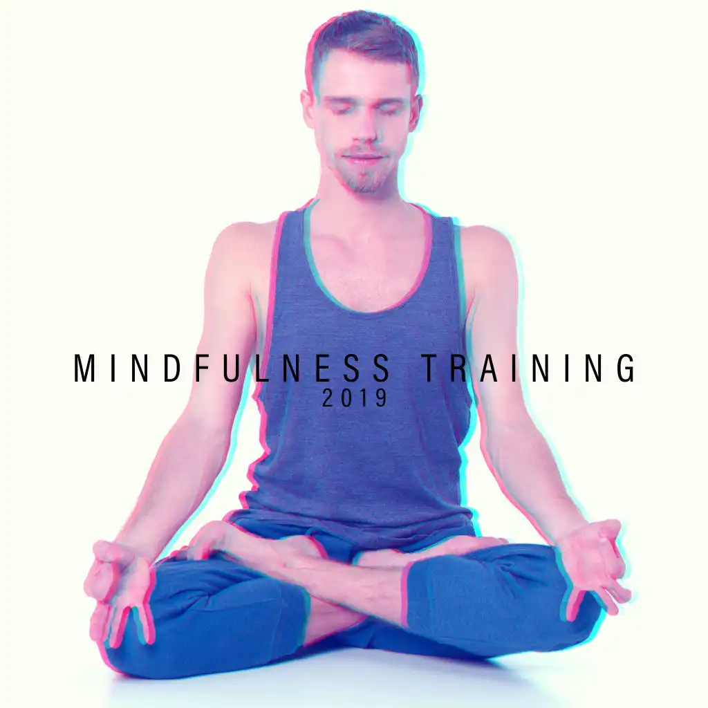 Mindfulness Training 2019 – Meditation Music Zone, Chakra Balancing, Yoga Music, Inner Balance, Tranquil Peace, Yoga Training, Zen