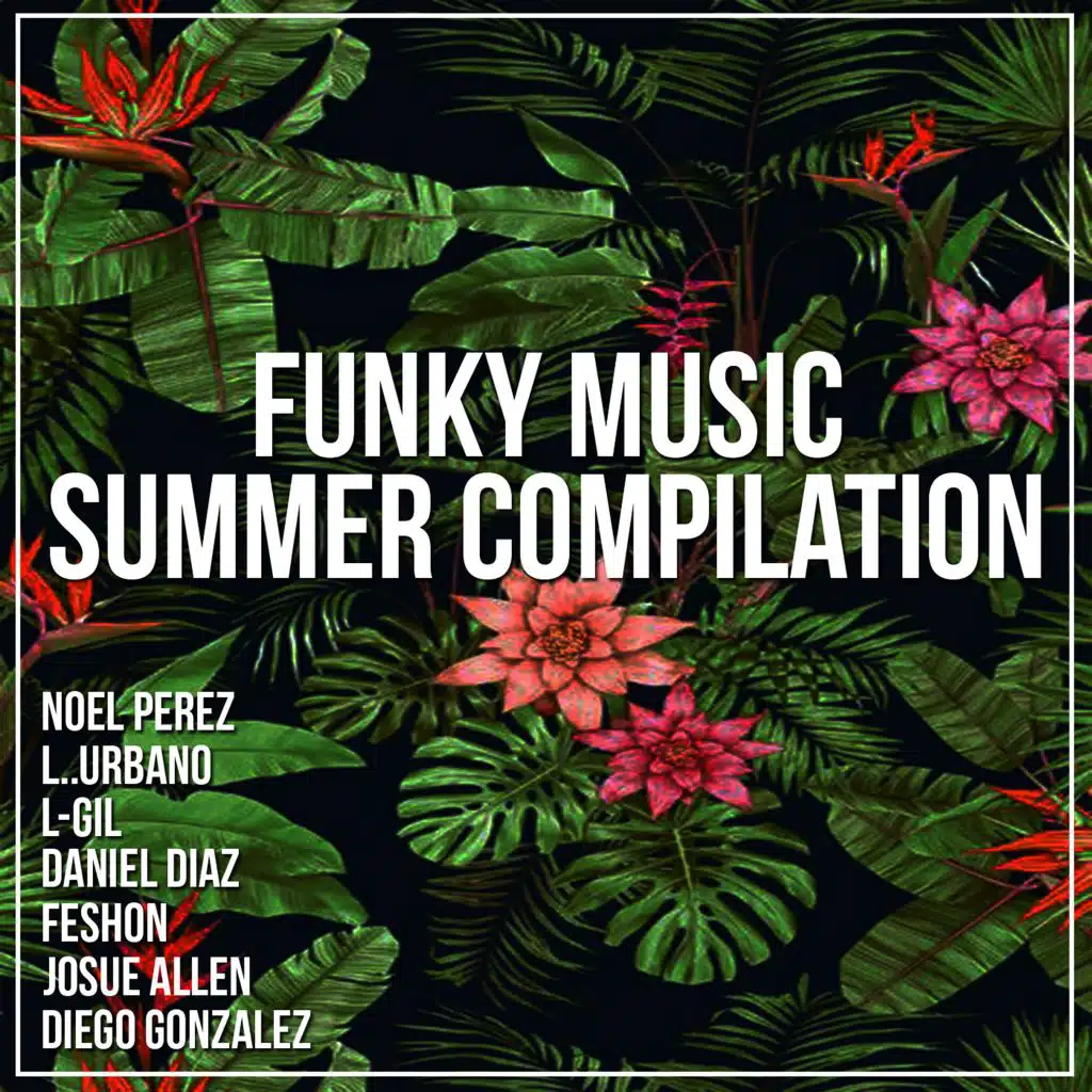 Funky Music Summer Compilation