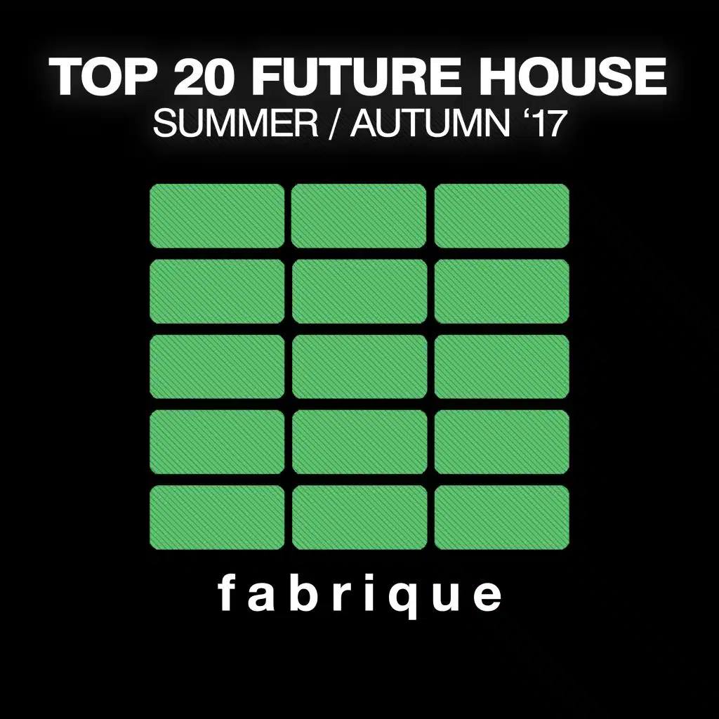 Top 20 Future House (Summer / Autumn '17)