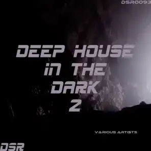 Deep House in the Dark, Vol. 2