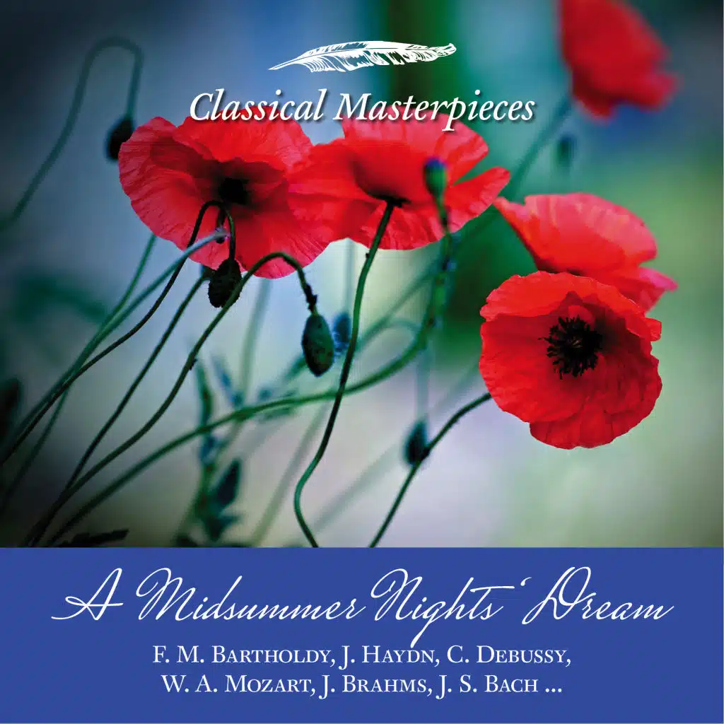 Symphony No. 2 Op.73 D Major: Allegro Con Spirito