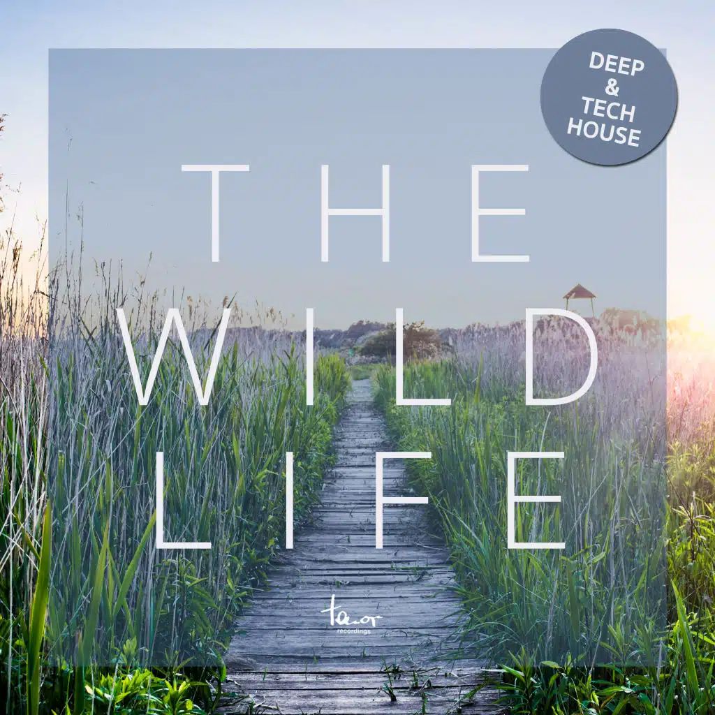 Dubadub (Arts & Leni Remix)