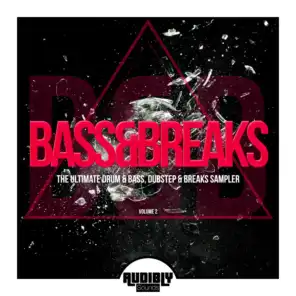 Bass & Breaks (The Ultimate Drum & Bass, Dubstep & Breaks Sampler), Vol. 2