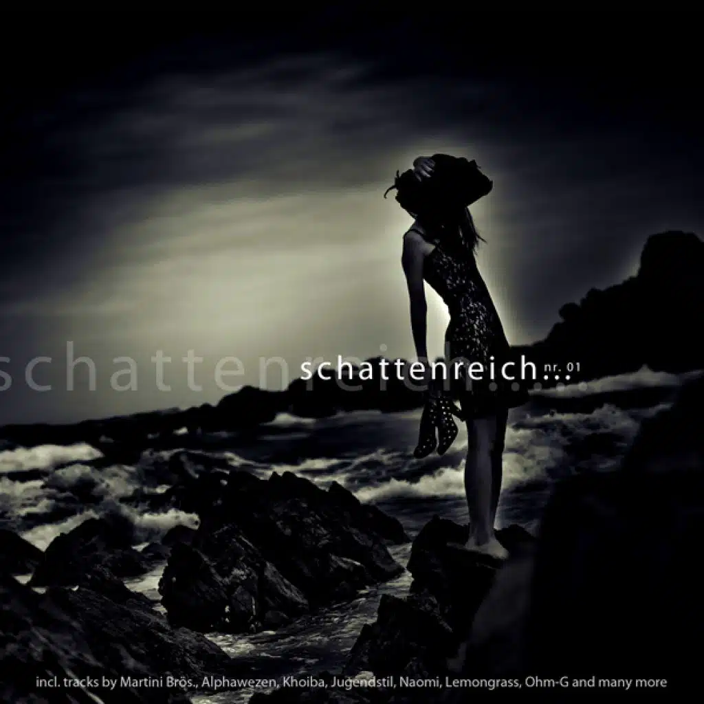 Which Will (Original Version)