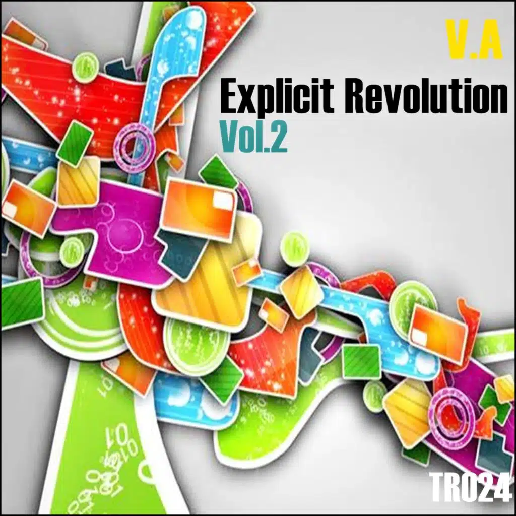 V.a Explicit Revolution Vol.2