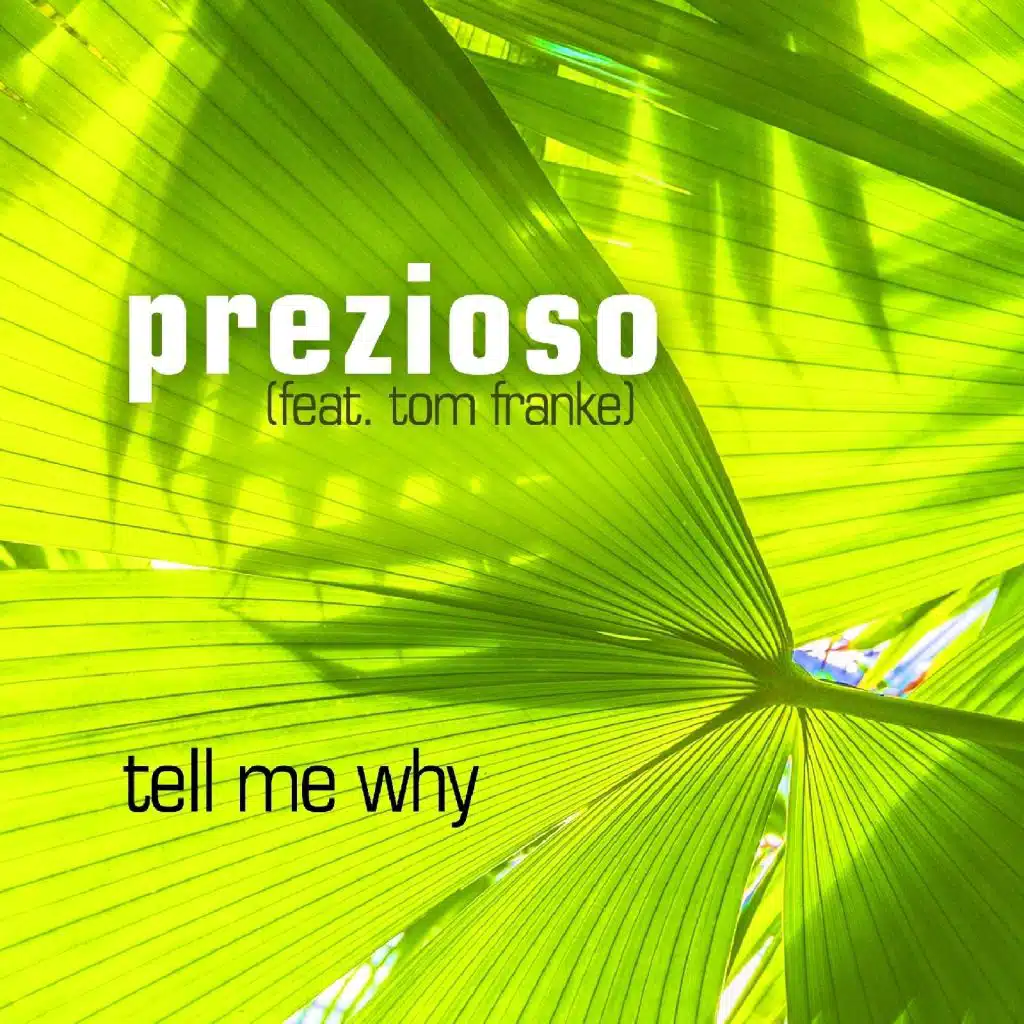 Tell Me Why (feat. Tom Franke)