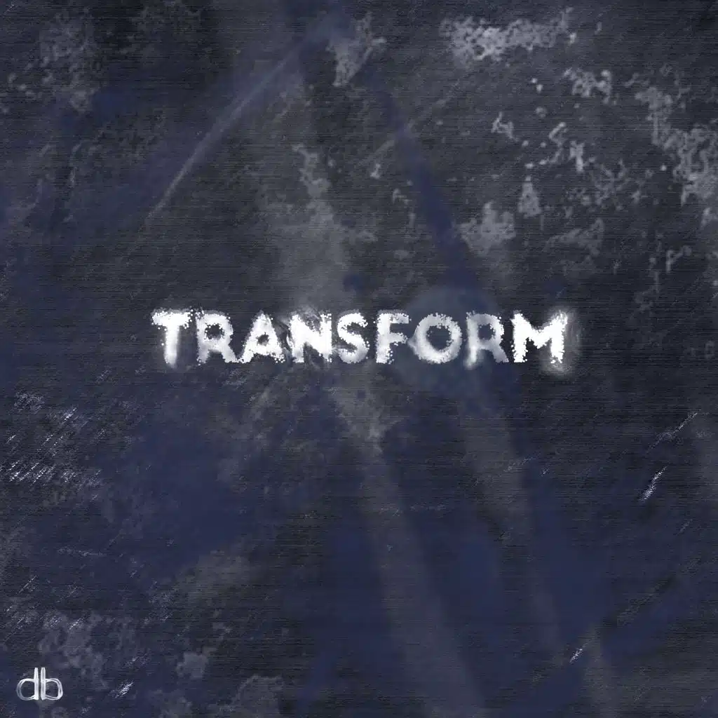 Transform (David Bau Remix)