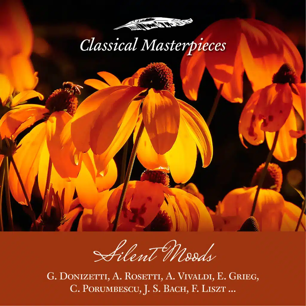 The Four Seasons, Concerto No. 3 in F Major " Autumn" in F Major, RV 293: Adagio Molto