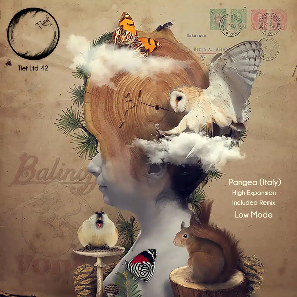 High Expansion (Low Mode Remix)