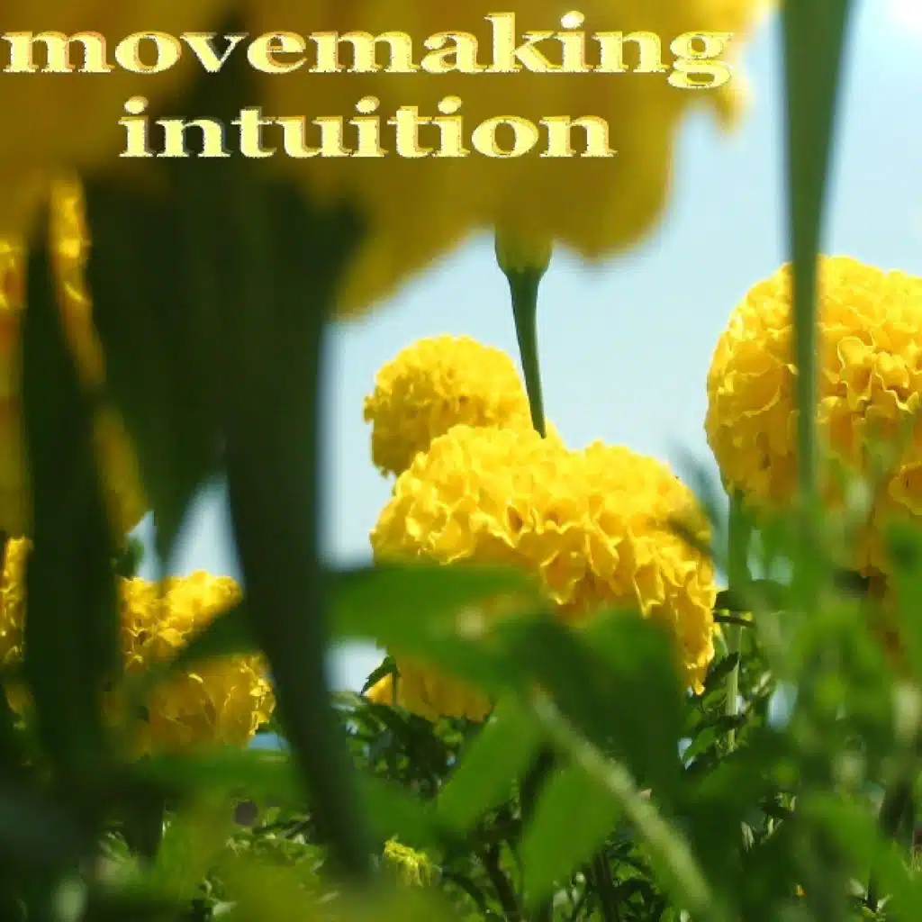 Movemaking Intuition