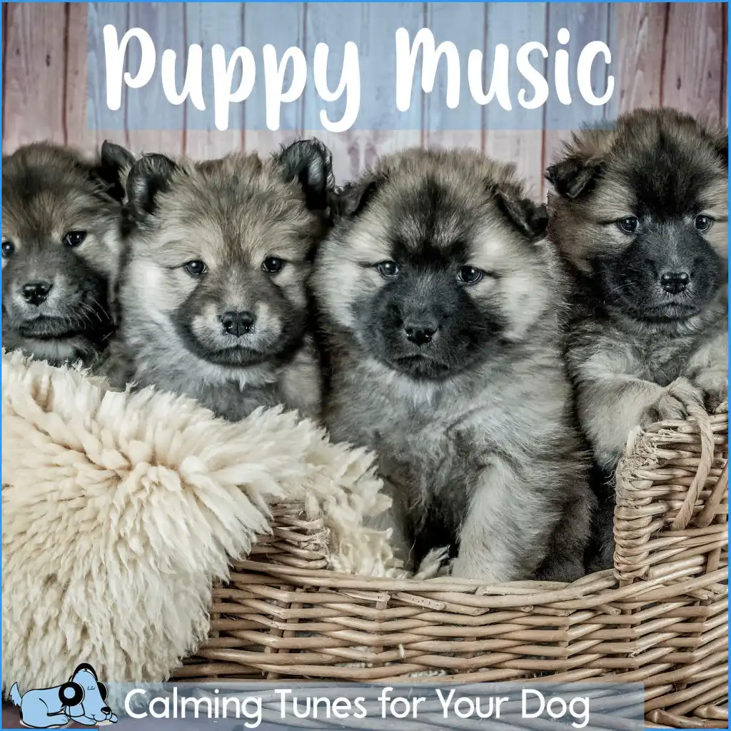 RelaxMyDog, Dog Music Dreams, Relax My Puppy & Pet Music Therapy