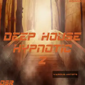 Deep House Hypnotic, Vol. 2