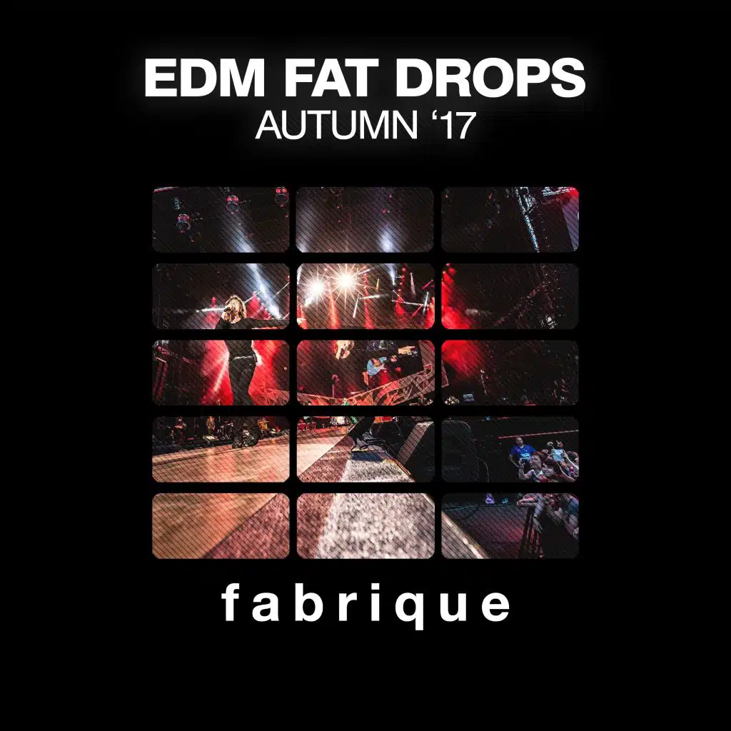 EDM Fat Drops (Autumn '17)