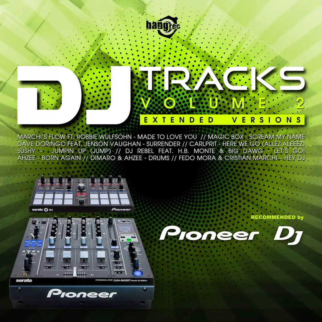 DJ Tracks, Vol. 2 (Cristian Marchi & Paolo Sandrini Flow Club Mix)