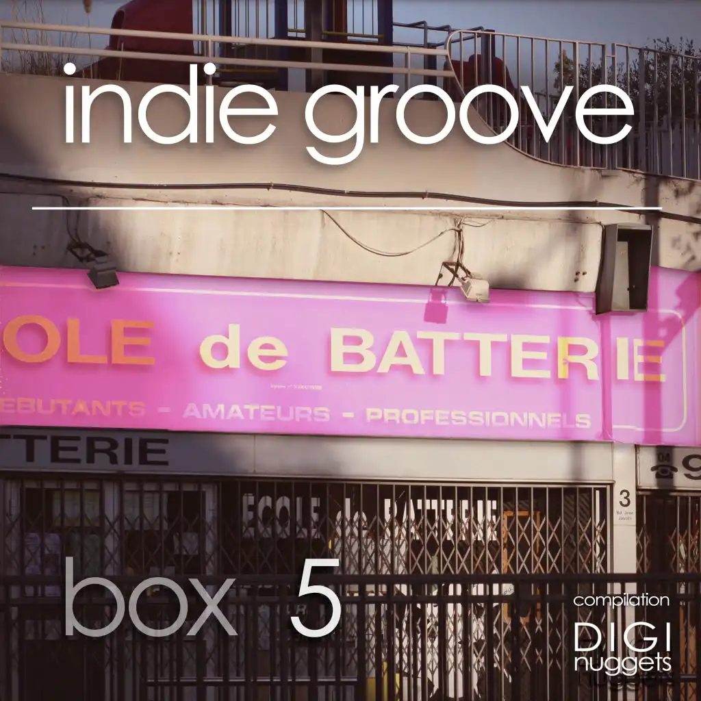 Indie Groove Box, Vol. 5