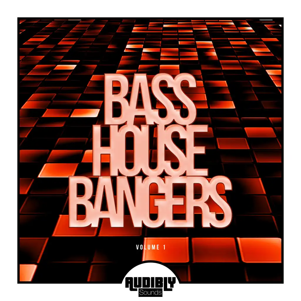 Bass House Bangers, Vol. 1