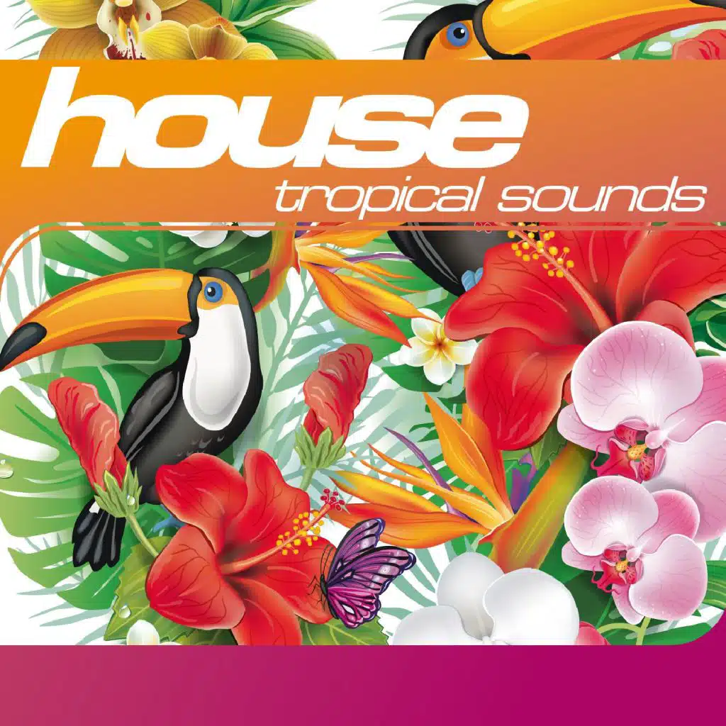 Rhythm Is A Dancer  (Rap Radio Version) [feat. Simone Mangia]