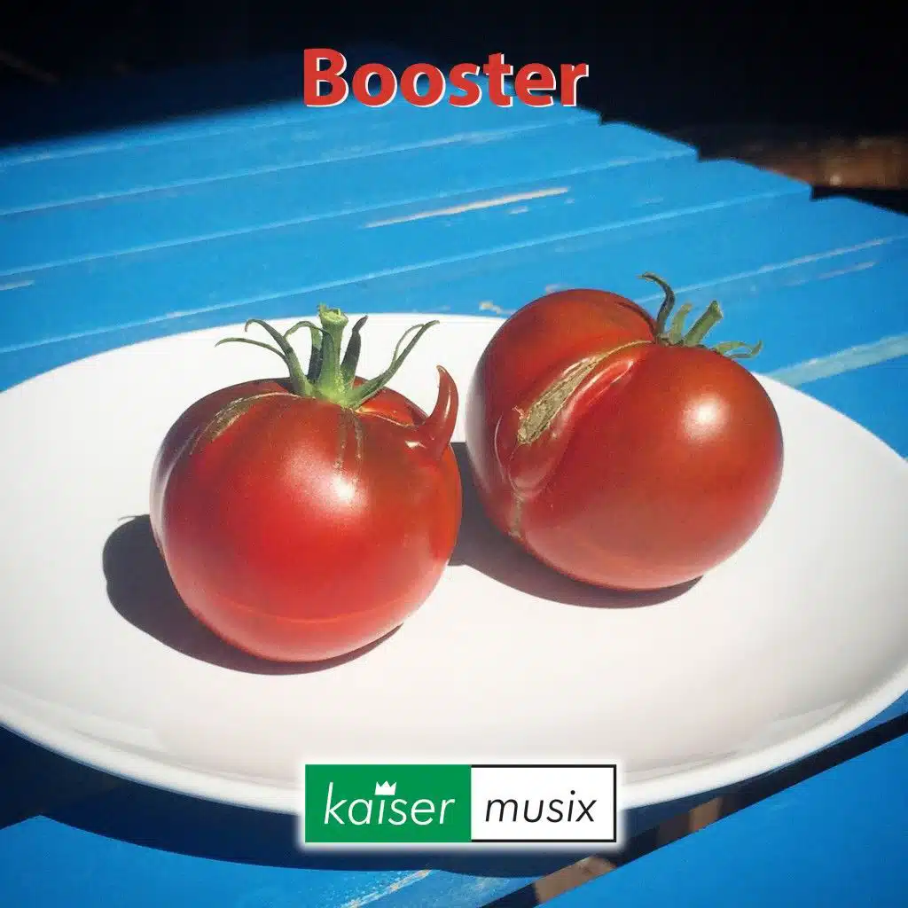 Booster (Remastered)