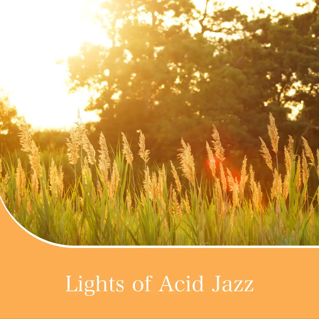 Lights of Acid Jazz