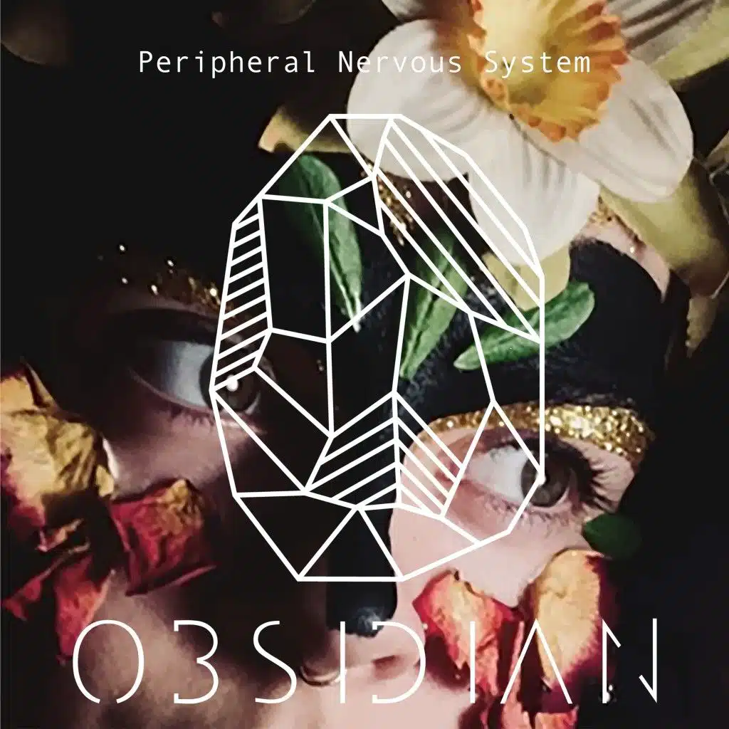 Peripheral Nervous System