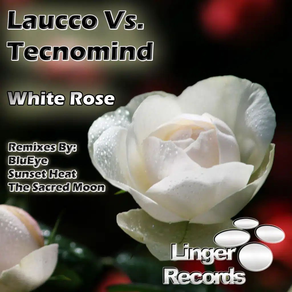 Laucco Vs. Tecnomind