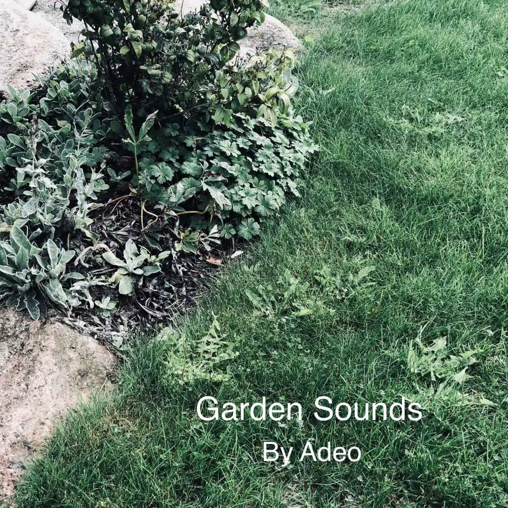 Garden Sounds