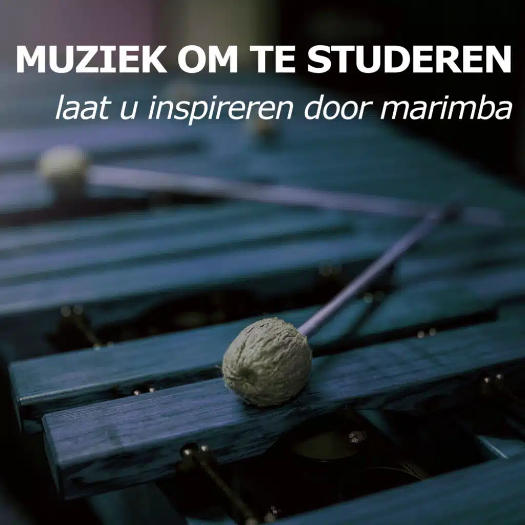 Muziek Om Te Studeren (laat u inspireren door marimba)