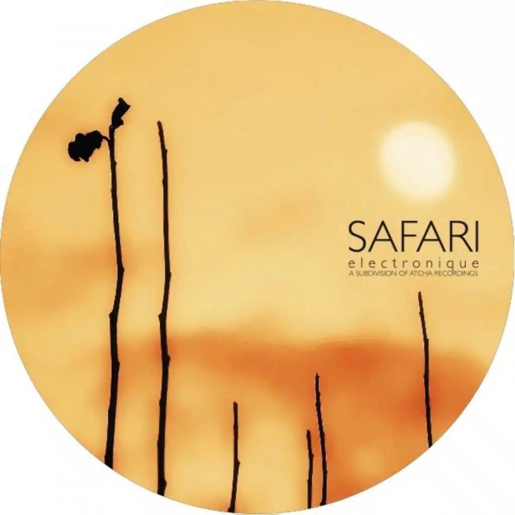 Detect Audio & Arnaud Le Texier & Antonio De Angelis