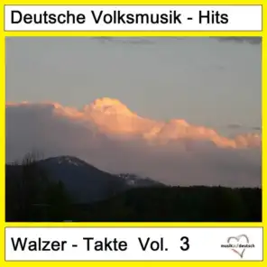 Deutsche Volksmusik-Hits: Walzer-Takte, Vol. 3