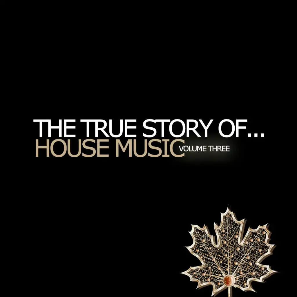 The True Story Of...House Music Vol. 3