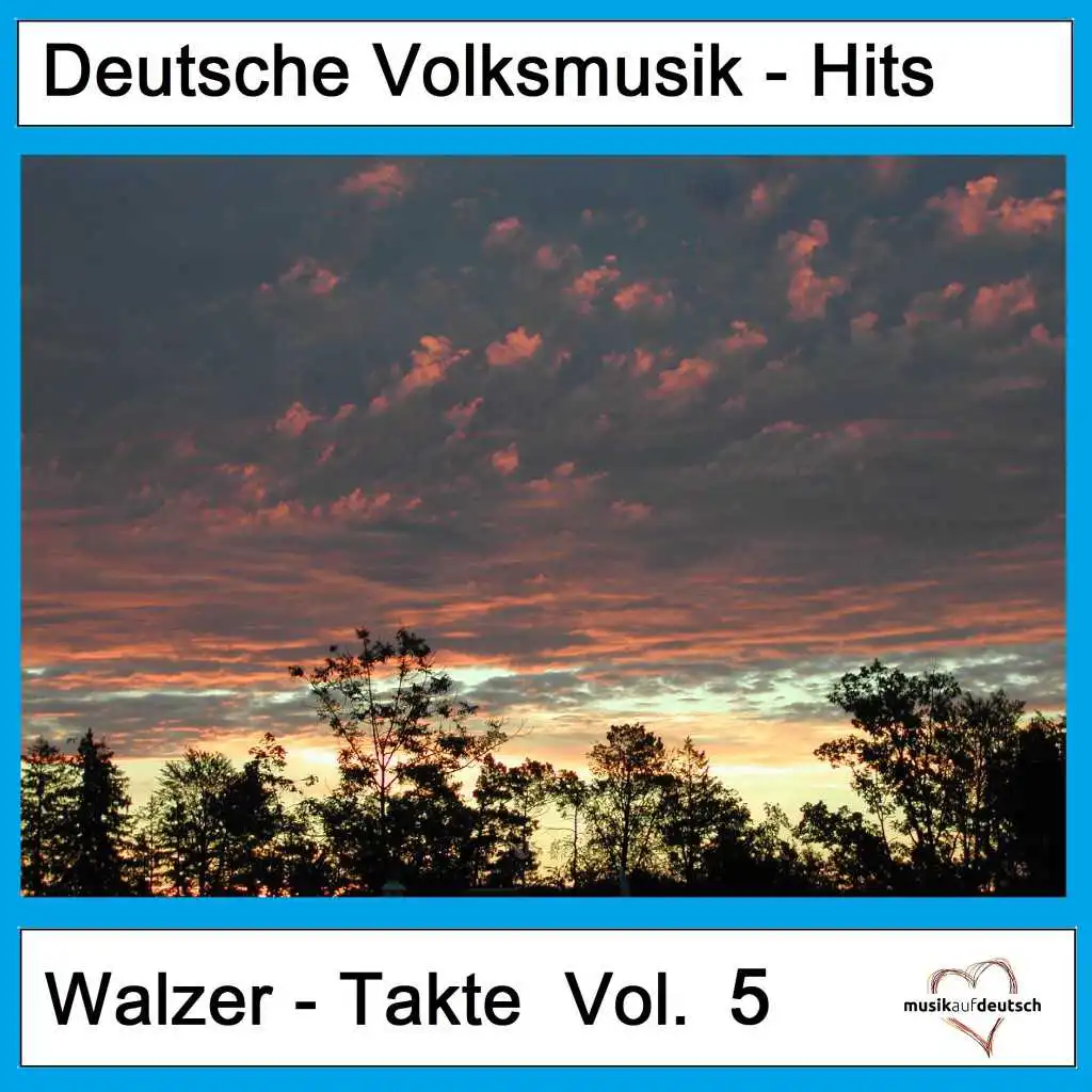 Deutsche Volksmusik-Hits: Walzer-Takte, Vol. 5