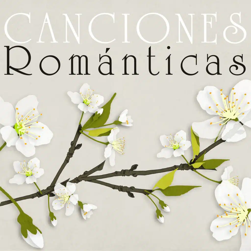 Canciones Románticas