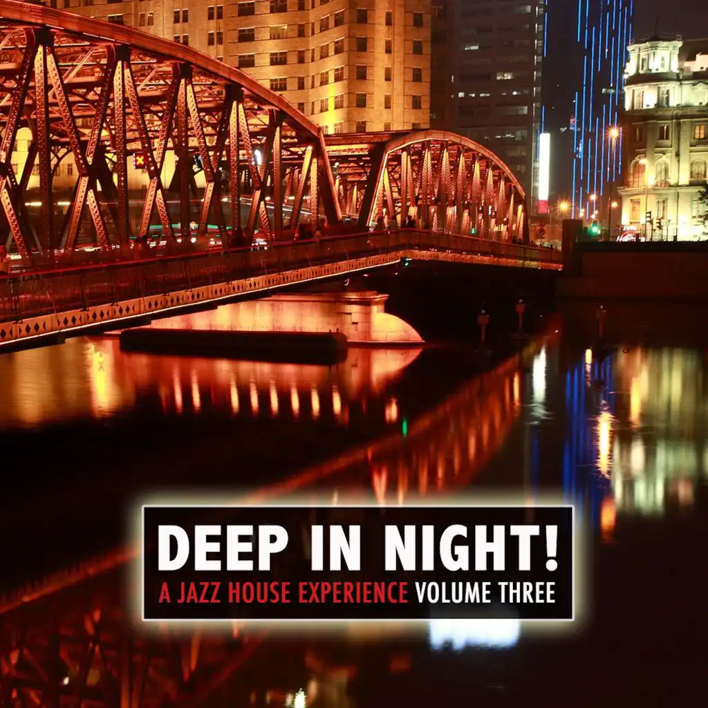 Deep in the Night!, Vol.3 - A Jazz House Experience