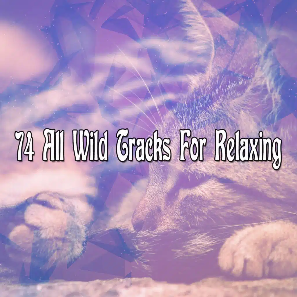 Like I Like (Feat. Amanda Wilson)