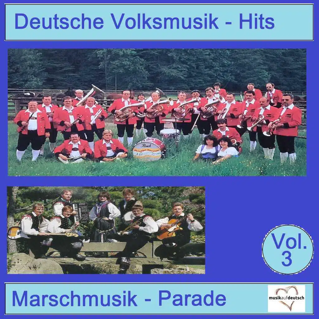 Deutsche Volksmusik-Hits: Marschmusik-Parade, Vol. 3