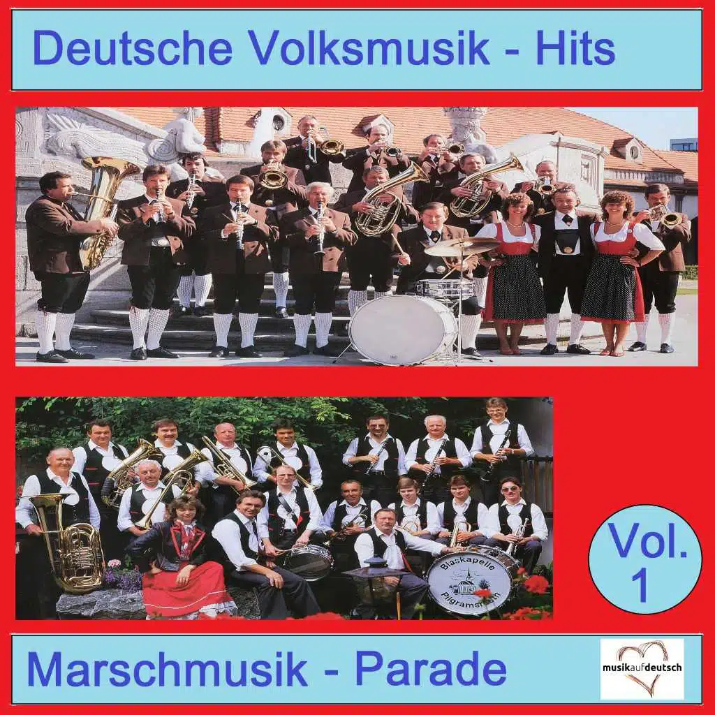 Deutsche Volksmusik-Hits: Marschmusik-Parade, Vol. 1