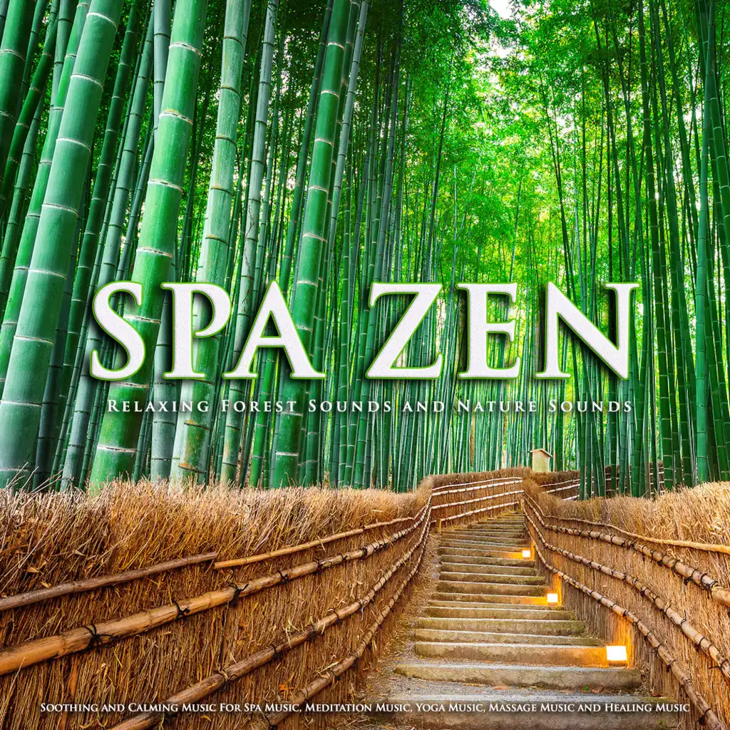 Spa Zen: Relaxing Forest Sounds and Nature Sounds, Soothing and Calming Music For Spa Music, Meditation Music, Yoga Music, Massage Music and Healing Music
