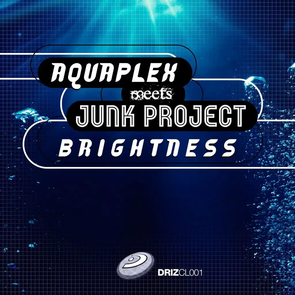 Aquaplex, Junk Project