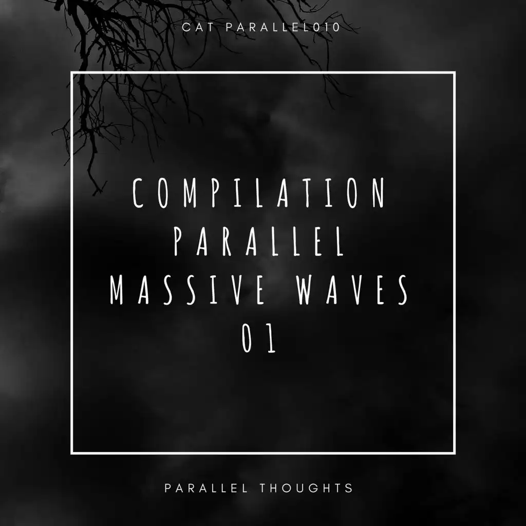 Compilation Parallel Massive Waves 01