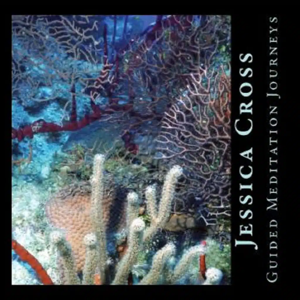 Guided Meditation Journeys