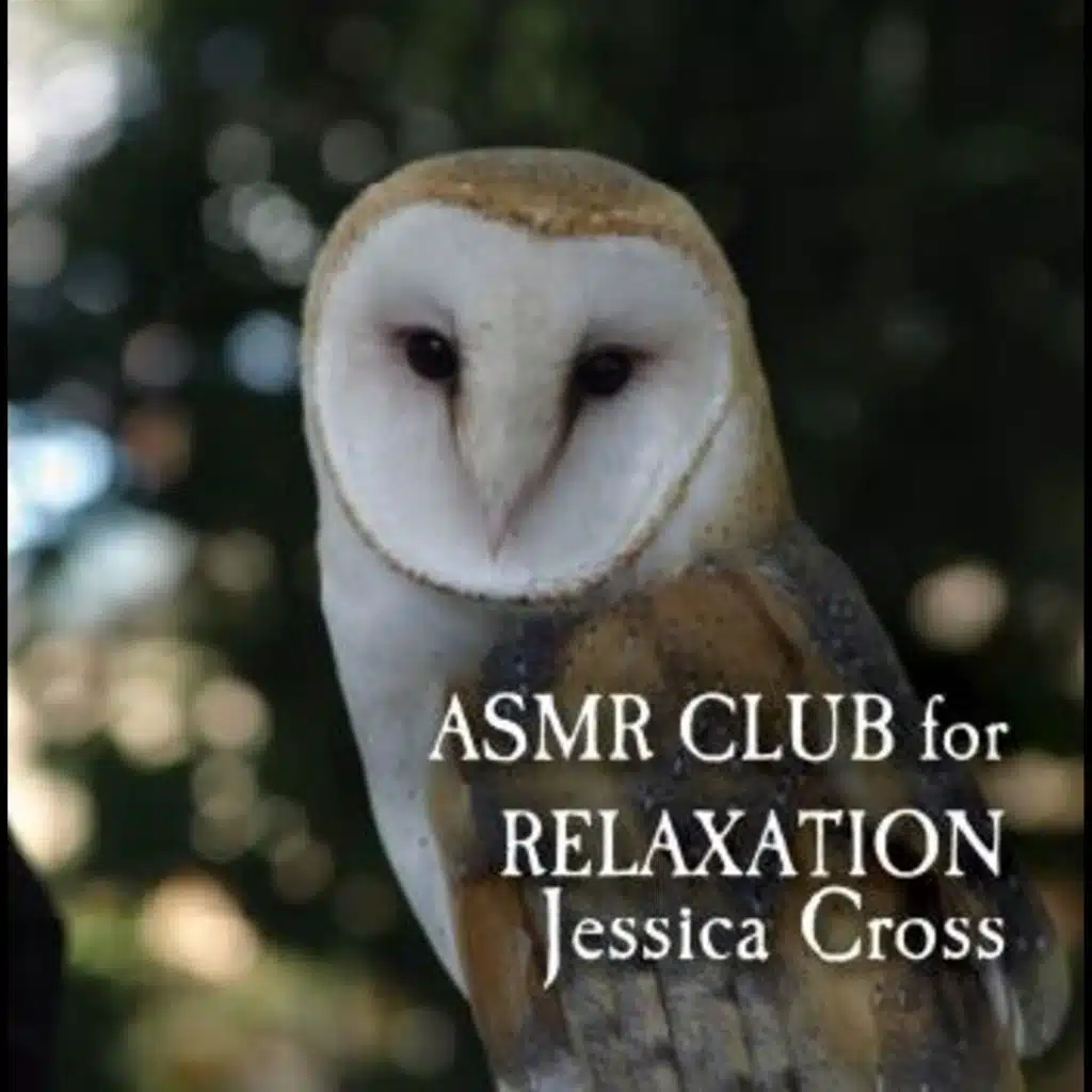 Asmr Relaxation Club (Baron Vol. 1)