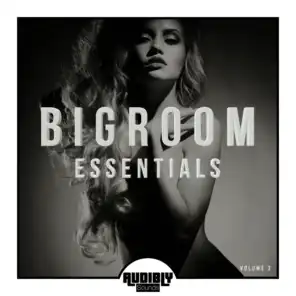 Bigroom Essentials, Vol. 3